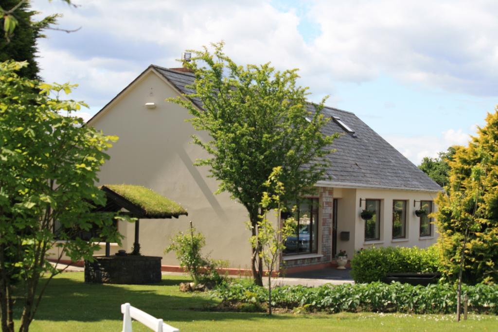 Palmgrove Bed & Breakfast Listowel Kültér fotó
